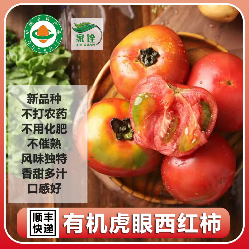 云南有机西红柿新鲜现摘香甜多汁