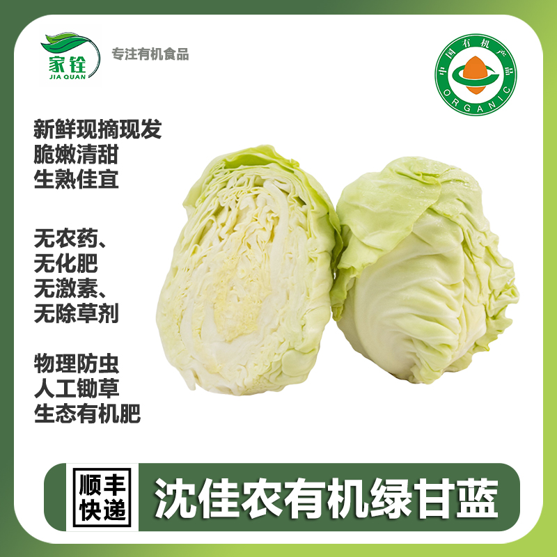 沈佳农有机绿甘蓝不打农药新鲜