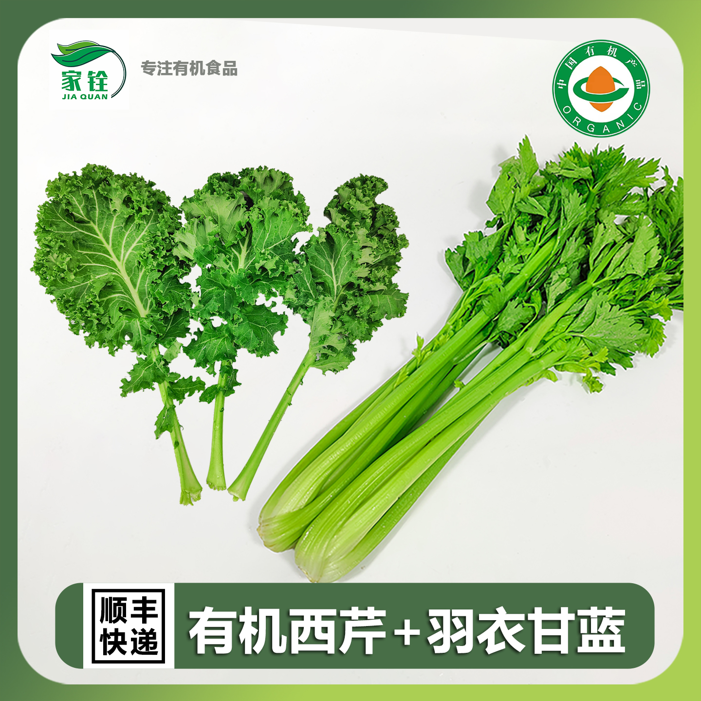 良道有机西芹心羽衣甘蓝无农药