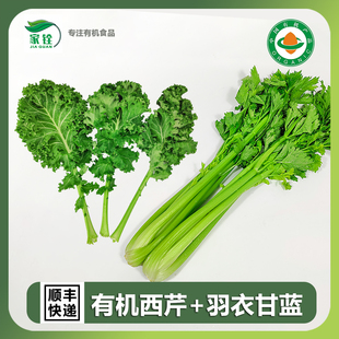 云南良道榨汁蔬菜组合有机西芹1.5kg羽衣甘蓝0.5kg新鲜现摘无农药