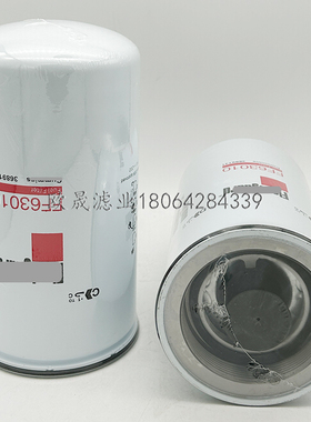 FF63010 3689131 FF30241 FF50099 SK48633 SN40768柴油格滤芯