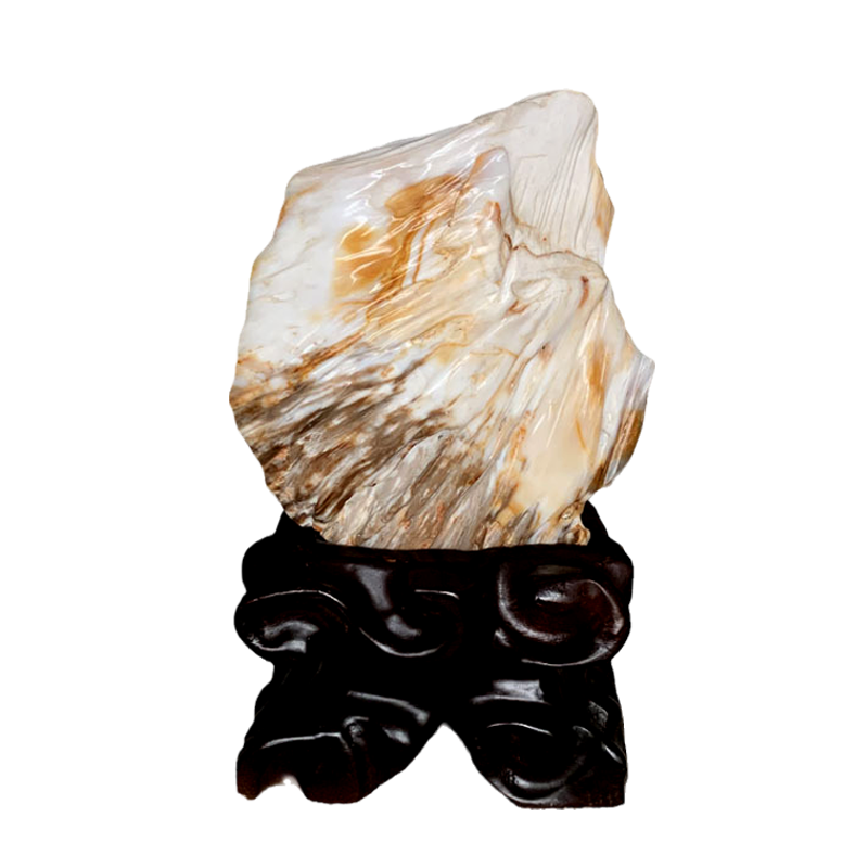 天然缅甸树化玉家居摆件树化石