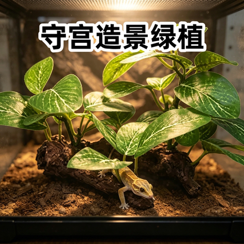爬宠饲养箱仿真绿植丰荣造景