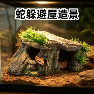 宠物蛇躲避屋树脂躲避洞穴守宫蜥蜴爬宠玉米蛇猪鼻蛇蛇缸丰荣造景