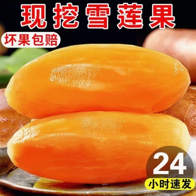 新鲜雪莲果红心一级脆甜正宗云南天山水果整箱10斤黄心特级大果