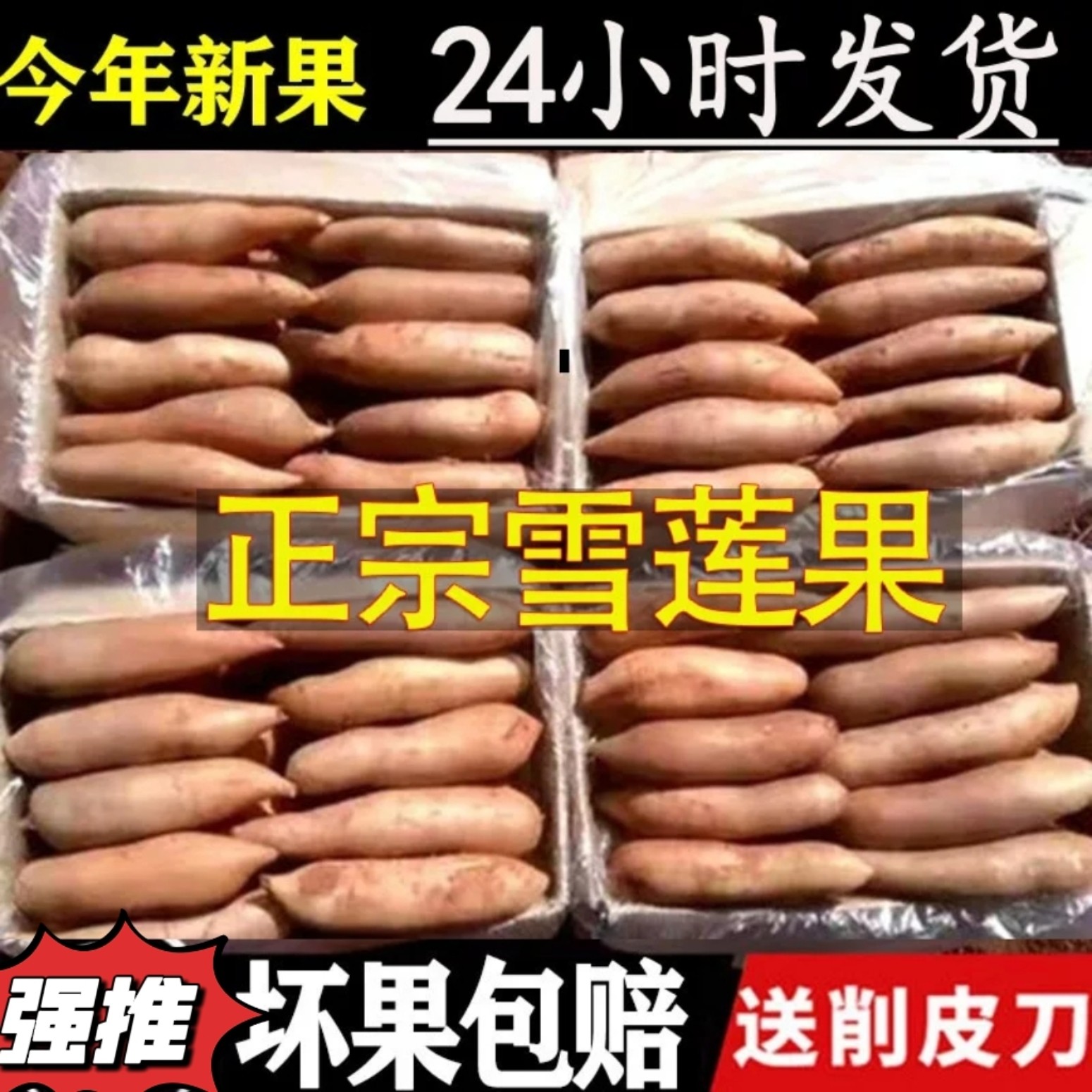 现挖红泥沙云南天山雪莲果孕妇新鲜水果当季整箱低糖黄心特级清甜