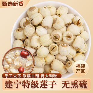 2025年建宁白莲子特级干货纯手工无硫新莲子农家自产福建无芯500g