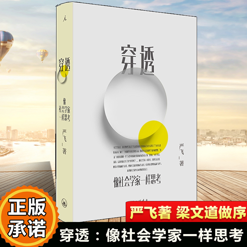 穿透:像社会学家一样思考清华大学社会学家严飞著 钱颖一刘瑜郝景芳梁文道作序 社会学小说集 理想国正版imaginist/理想国