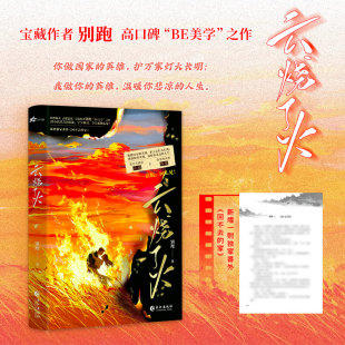 云烧了火 现代青春言情小说