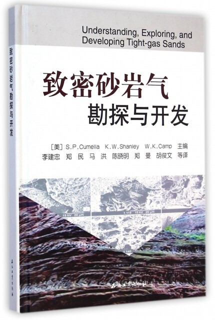 正版现货 致密砂岩气勘探与开发(精) (美)库迈拉|译者:李建忠//郑民//马洪//陈晓明/... 石油工业 9787502191030属于什么档次？