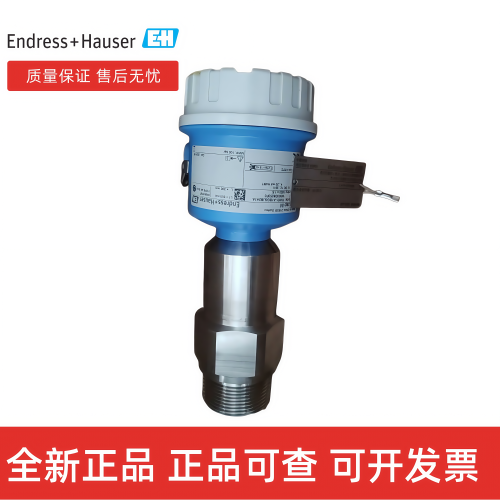 E+H恩德斯豪斯 电容物位计FMI51-A1BGGJB2A1A探头长度300mm