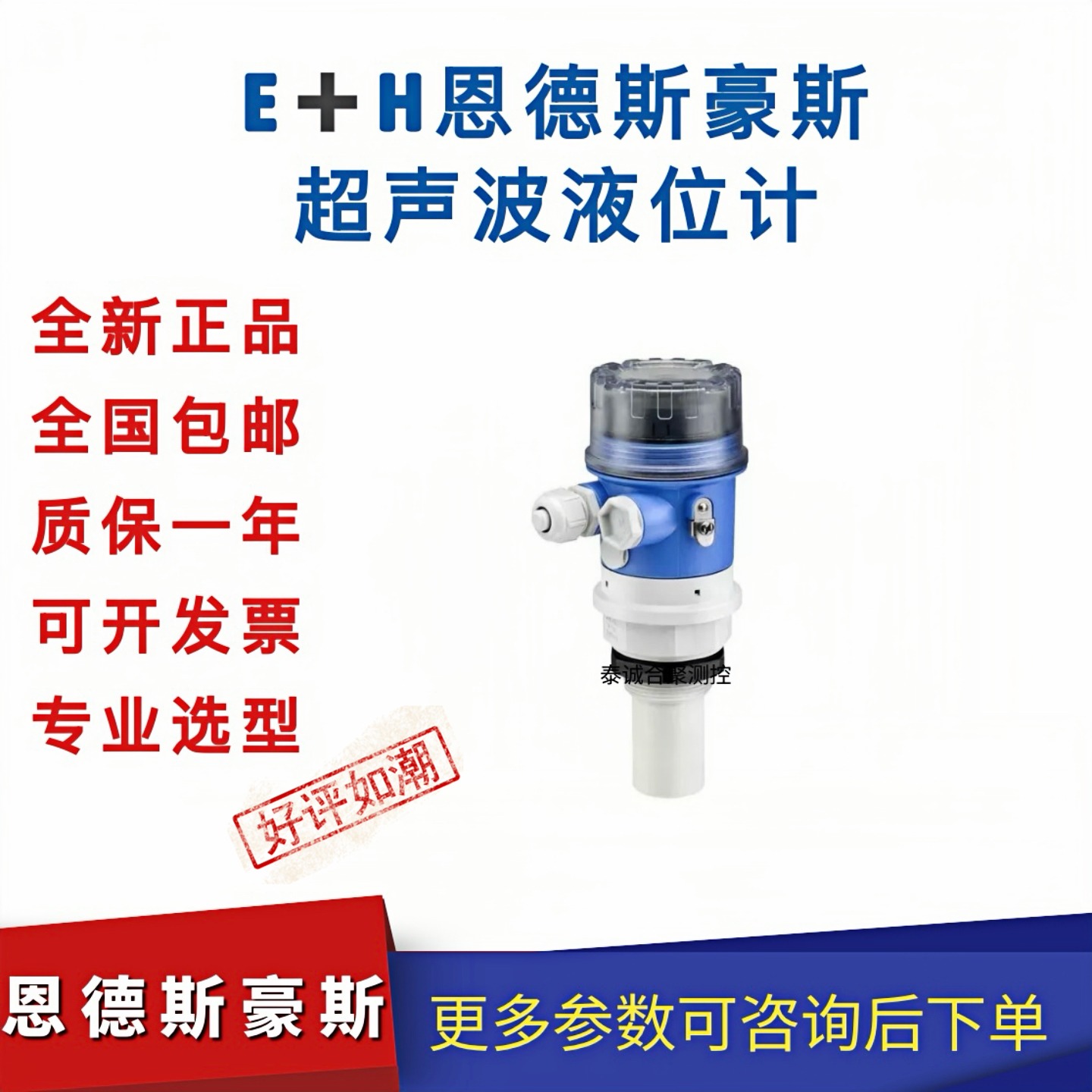 EH新款恩德斯豪斯超声波物位计
