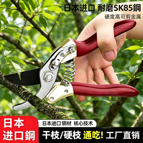 省力家用园艺工具修枝剪刀