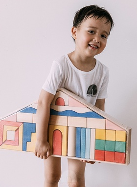 AVDAR TOYS 小建筑师系列大房子进 口椴木实木积木拼装玩具益智