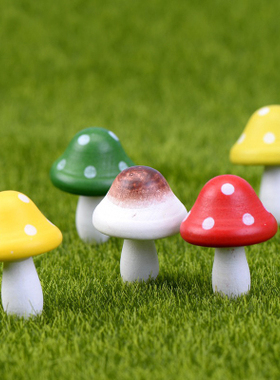 苔藓微景观蘑菇盆栽木质工艺品
