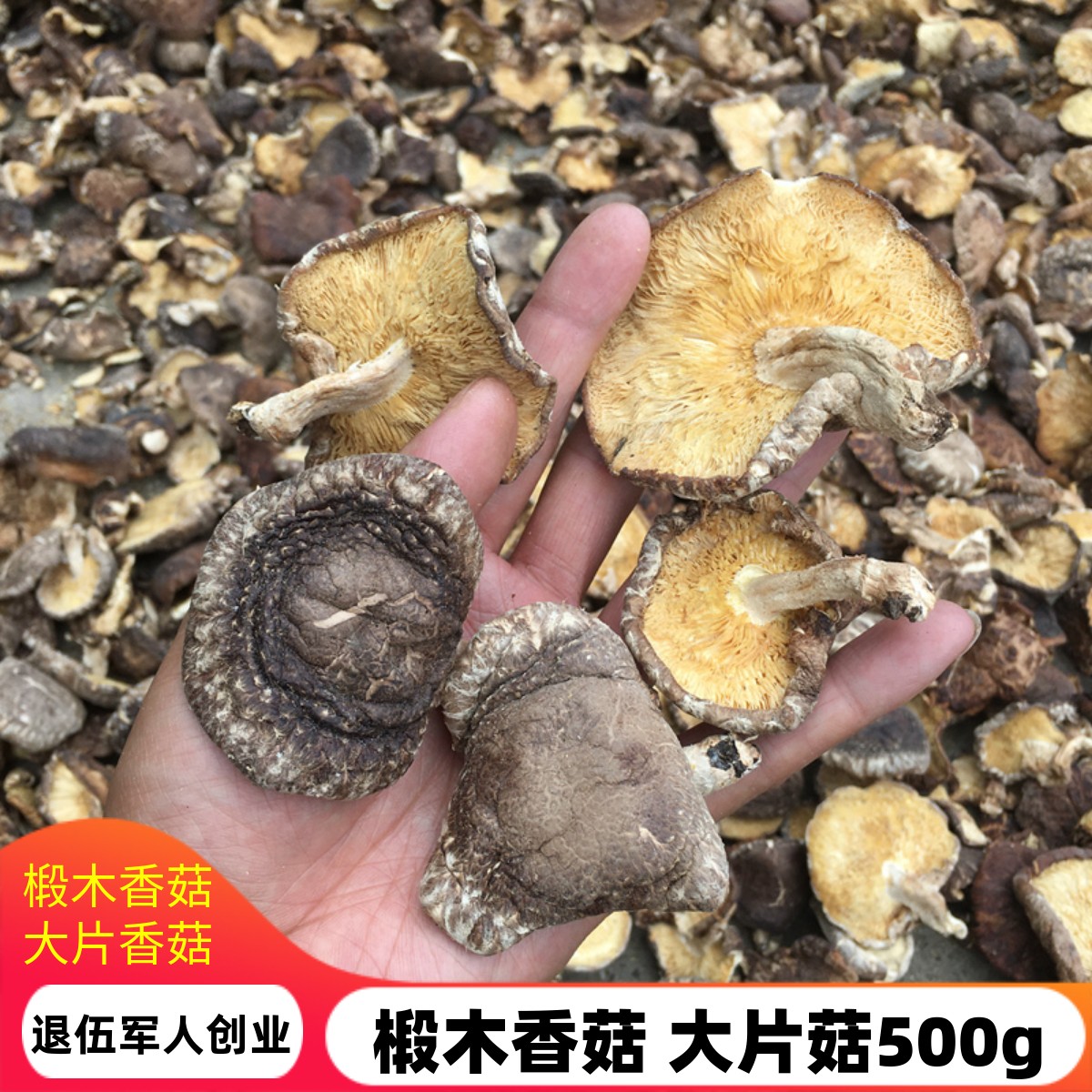 香菇大片椴木香菇碎片蘑菇农家特产包饺子馅料小香茹薄片香菇500g