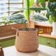 草编藤编花盆网红北欧简约编织花篮落地大花盆龟背竹植物装 饰套