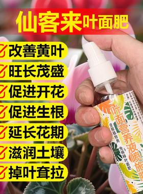 仙客来专用肥料花苗盆栽开花年宵花肥专用土壤喷剂营养液叶面肥料