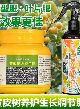 黄皮树专用肥料盆栽种植黄皮营养液变黄枯萎卷曲长黑斑掉叶面肥料