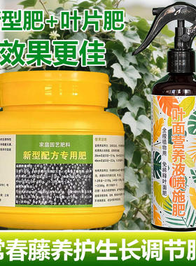 常春藤专用肥料盆栽爬藤金边常春藤垂吊长青藤养护营养液叶面肥料