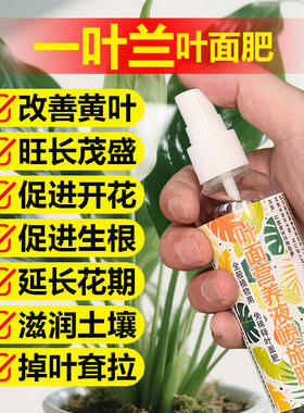 一叶兰专用肥料养殖盆栽绿植花肥养护营养液叶面肥叶面肥有机肥料