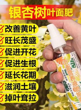 银杏树专用肥料盆栽种植盆景营养液叶子叶片发黄掉叶枯萎叶面肥料