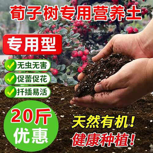 荀子专用土料荀子树营养土开花肥结果茂盛旺长生根发芽长种植家用