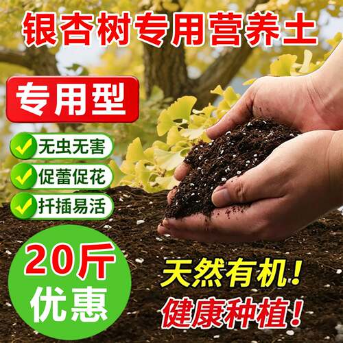 银杏树专用土料盆栽种植树苗盆景大树土壤营养土种植肥花卉土家用
