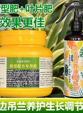 金边吊兰专用肥盆栽花苗复合营养液发黄掉落干枯发蔫黑斑叶面肥料