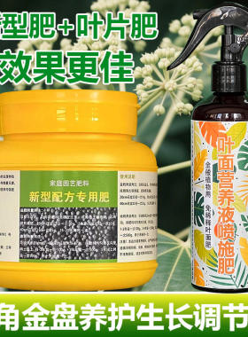 八角金盘专用肥料养殖花盆栽树苗专用土营养液长新叶喷剂叶面肥料