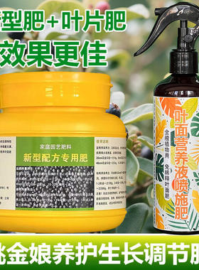 桃金娘专用肥料盆栽专用土花苗营养液开花长花苞发芽长新叶面肥料