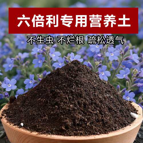 六倍利专用土料盆栽花苗花肥叶子变软发蔫黑斑边焦干枯掉落营养土