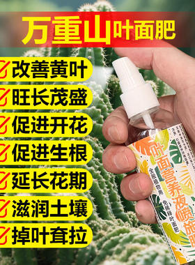 万重山专用肥料盆栽仙人掌植物营养液生长变绿发根粗壮盆景水肥料