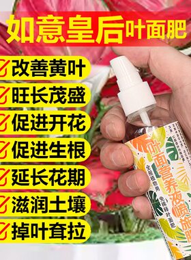 如意皇后专用肥料土培水培盆栽吉利红开花肥营养液叶面肥叶面肥料