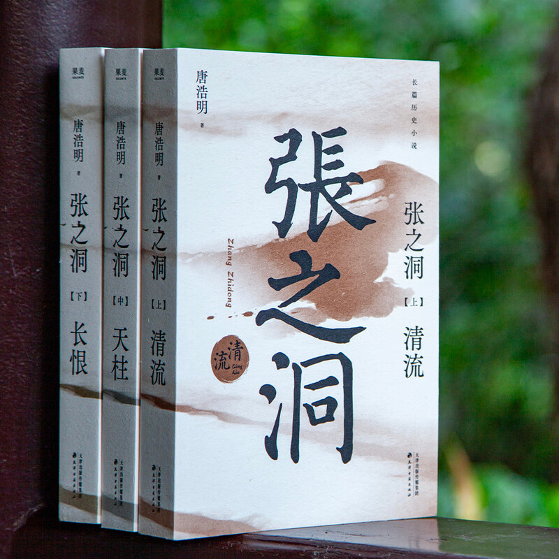 张之洞 一本书了解张之洞为谋求中国的富强而探索、挣扎的一生 新华正版 - 实物图