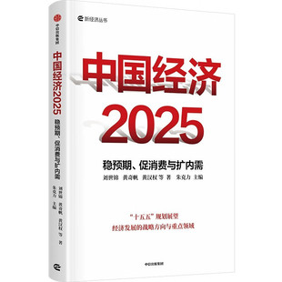 中国经济2025 稳预期 促消费与扩内需 刘世锦 黄奇帆 黄汉权 著 十五五规划 2025中国经济发展趋势 新质生产力