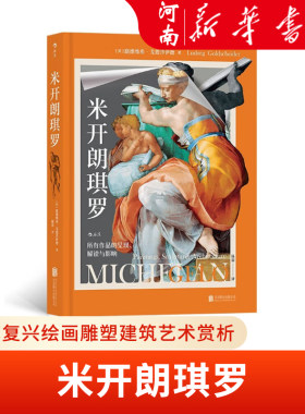 米开朗琪罗艺术史书籍