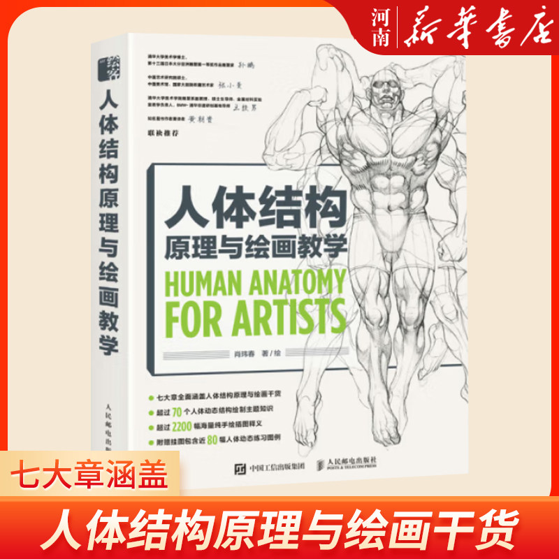 人物绘画教程人体结构造型手绘图片