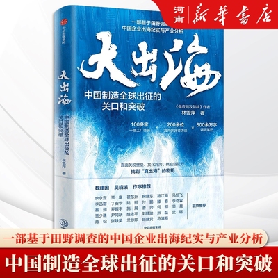 大出海中国出海纪实与产业分析