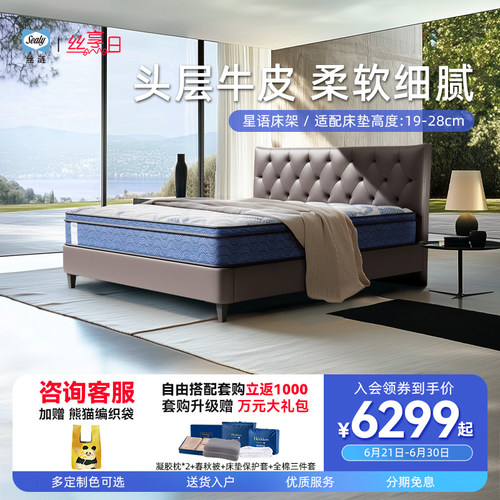 北欧简约风真皮床架丝涟星语
