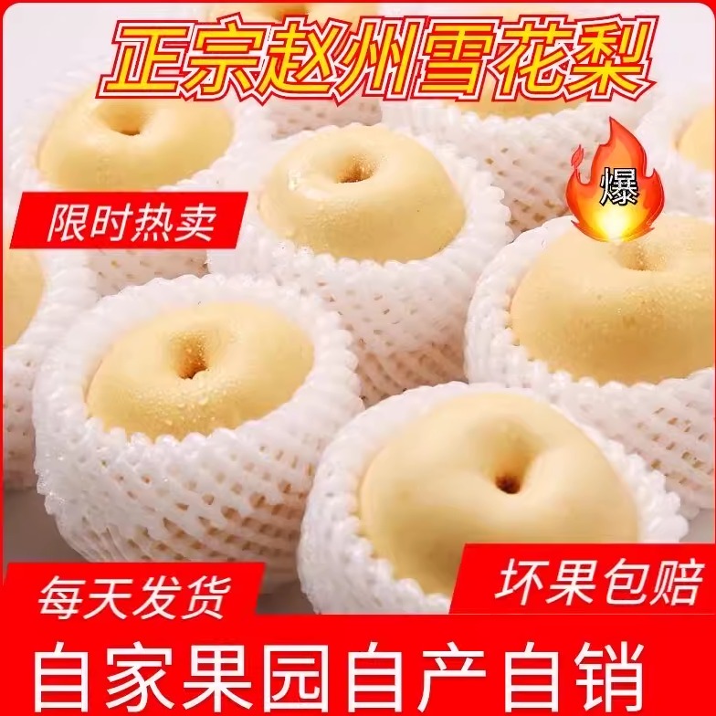 河北皇冠梨新鲜当季现摘水果梨子