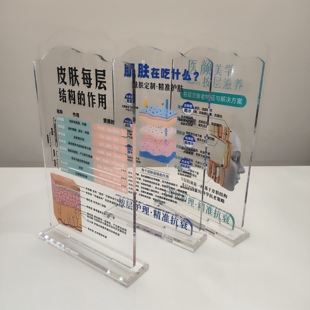 美容分层抗衰肌肤结构亚克力医学皮肤解剖知识讲解繁体医美子宫图