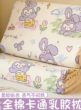 乳胶枕套40cmx60cm卡通纯棉儿童枕头套30X50一对装40x60单个兔子