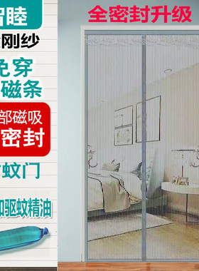 夏季金刚纱魔术贴免穿全磁条纱门