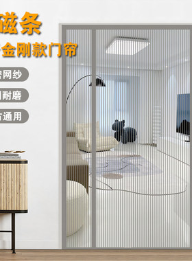 夏季金刚纱免穿全磁条侧开款纱门