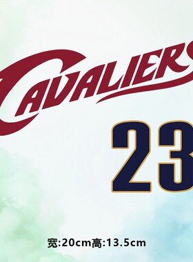 潮牌CAVALIERS23图案烫画贴时尚印花衣服贴热转印白墨贴纸