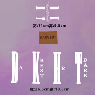 烫画图案新款时尚英文dkht烫画贴印花衣服热转印白墨烫画