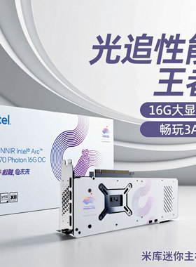 蓝戟Intel Arc A770  GDDR6台式机设计视频剪辑电竞独立游戏显卡