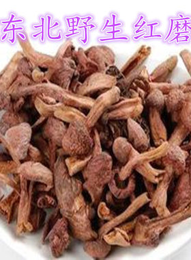 蘑菇东北特产味道鲜美