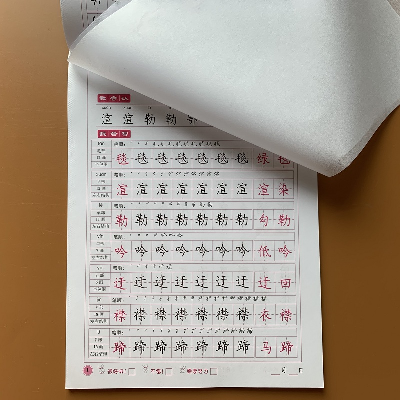 语文书生字同步临摹字帖描红本带临摹纸 小学生五年级下学期汉字练